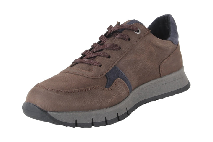 Schoenen Donkerbruin - Tommaso Moro - 1360004-302