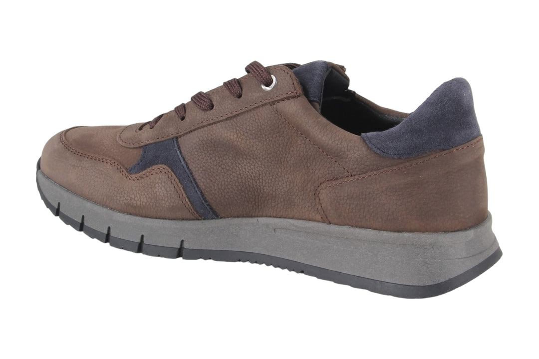Schoenen Donkerbruin - Tommaso Moro - 1360004-302