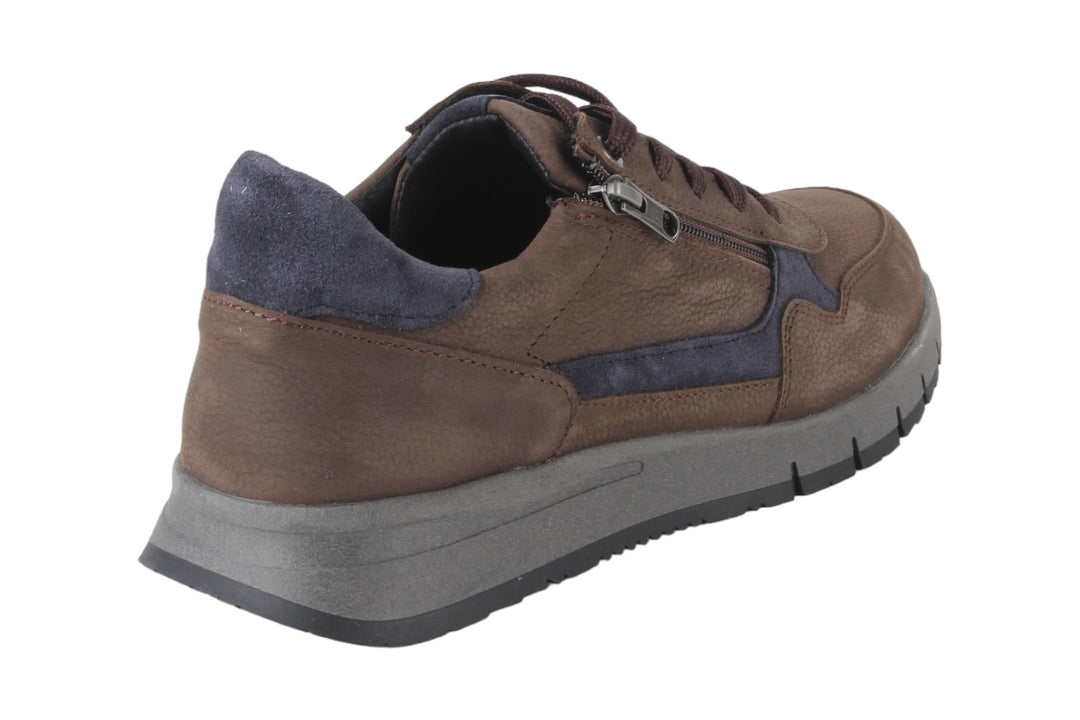 Schoenen Donkerbruin - Tommaso Moro - 1360004-302