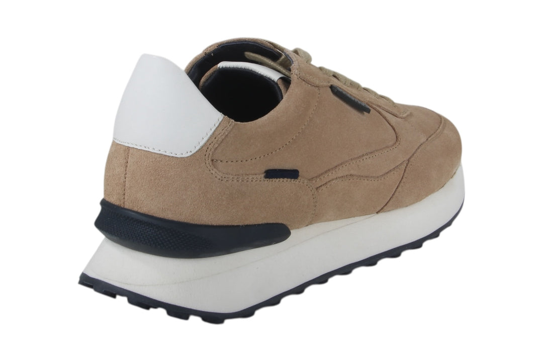 Sneakers Beige - Brady Sabbia - 1360007-403