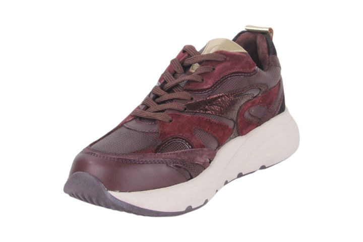Sneakers Bordo - Elenora Vino - 2360011-570