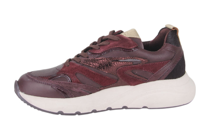 Sneakers Bordo - Elenora Vino - 2360011-570