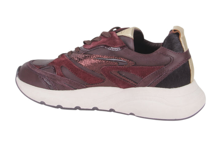 Sneakers Bordo - Elenora Vino - 2360011-570