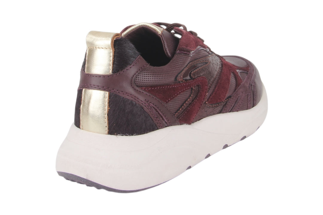 Sneakers Bordo - Elenora Vino - 2360011-570