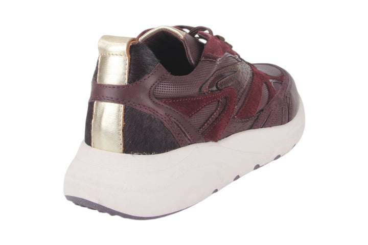 Sneakers Bordo - Elenora Vino - 2360011-570