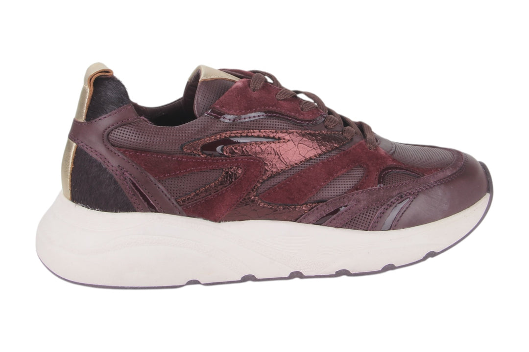 Sneakers Bordo - Elenora Vino - 2360011-570