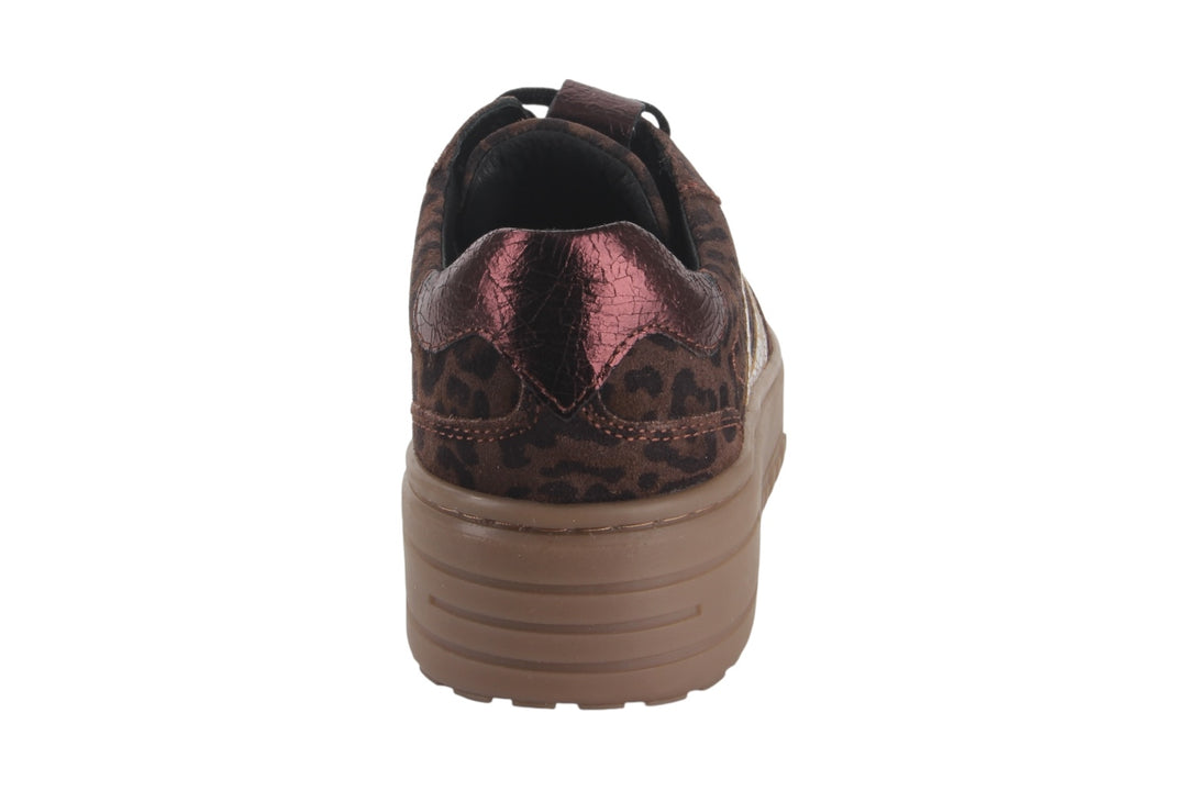 Sneakers Bruin combi - Felice Leopardo Moro - 2360013-333