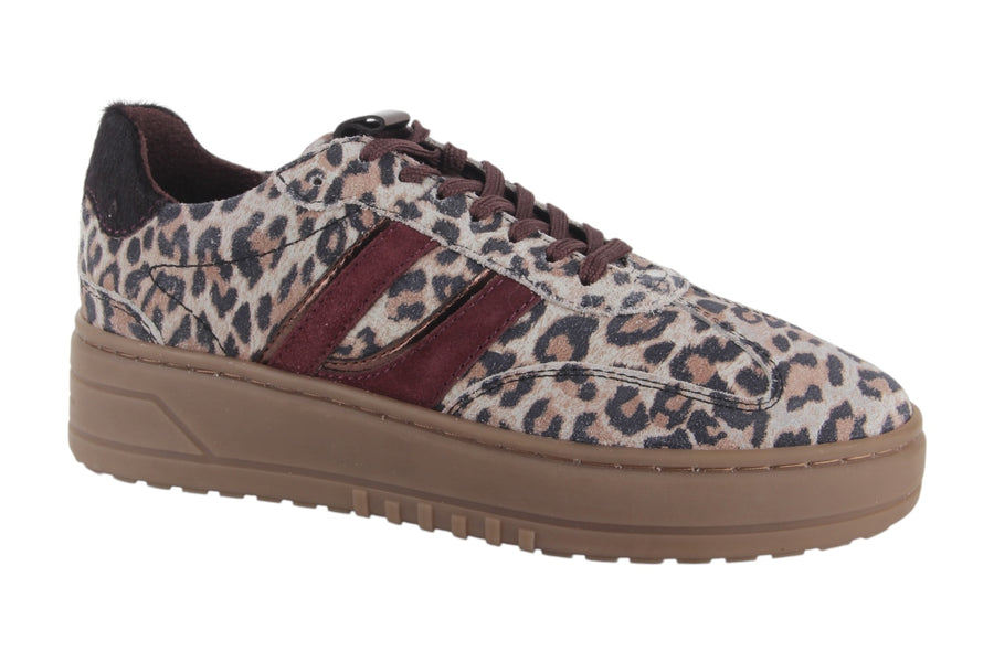 Sneakers Beige combi - Felice Leopardo Beige - 2360013-493