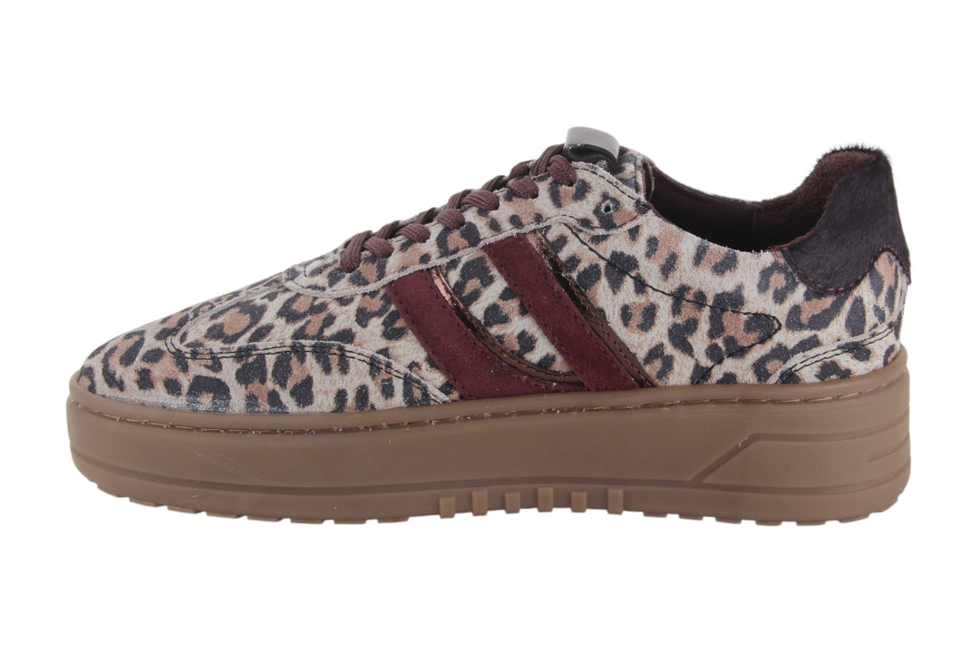 Sneakers Beige combi - Felice Leopardo Beige - 2360013-493