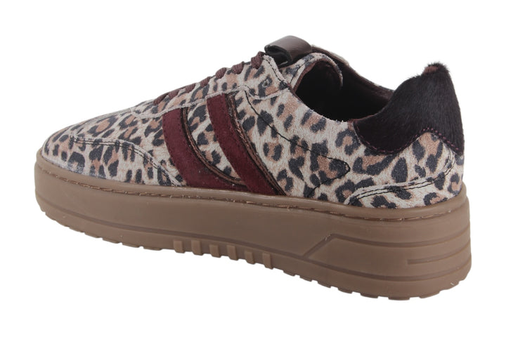 Sneakers Beige combi - Felice Leopardo Beige - 2360013-493