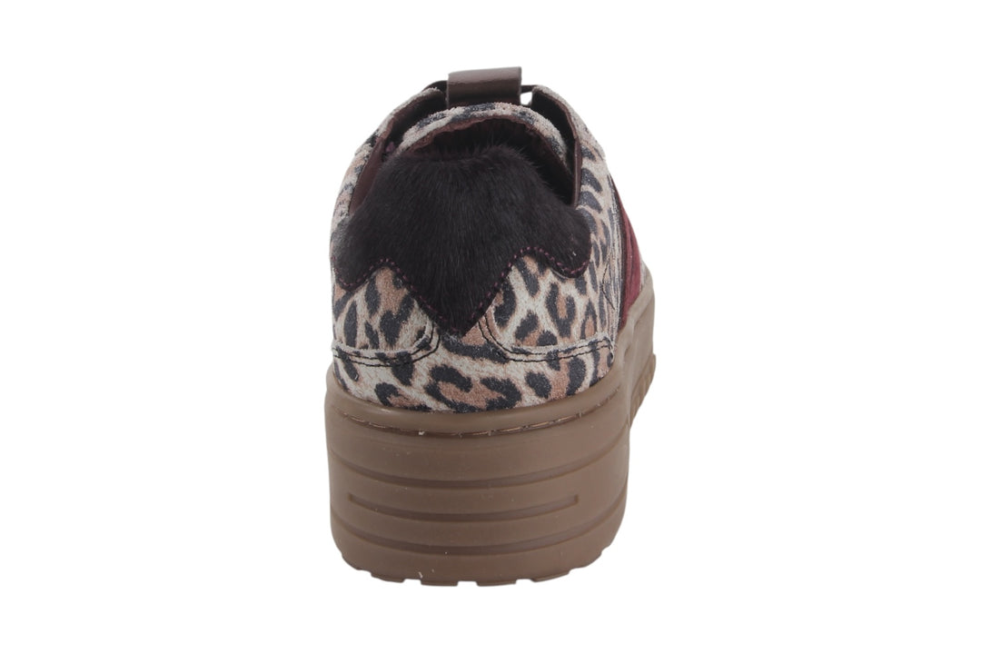 Sneakers Beige combi - Felice Leopardo Beige - 2360013-493