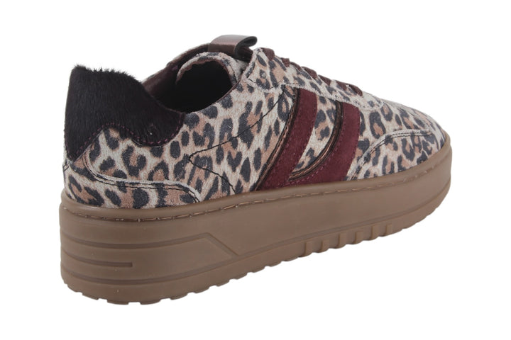 Sneakers Beige combi - Felice Leopardo Beige - 2360013-493