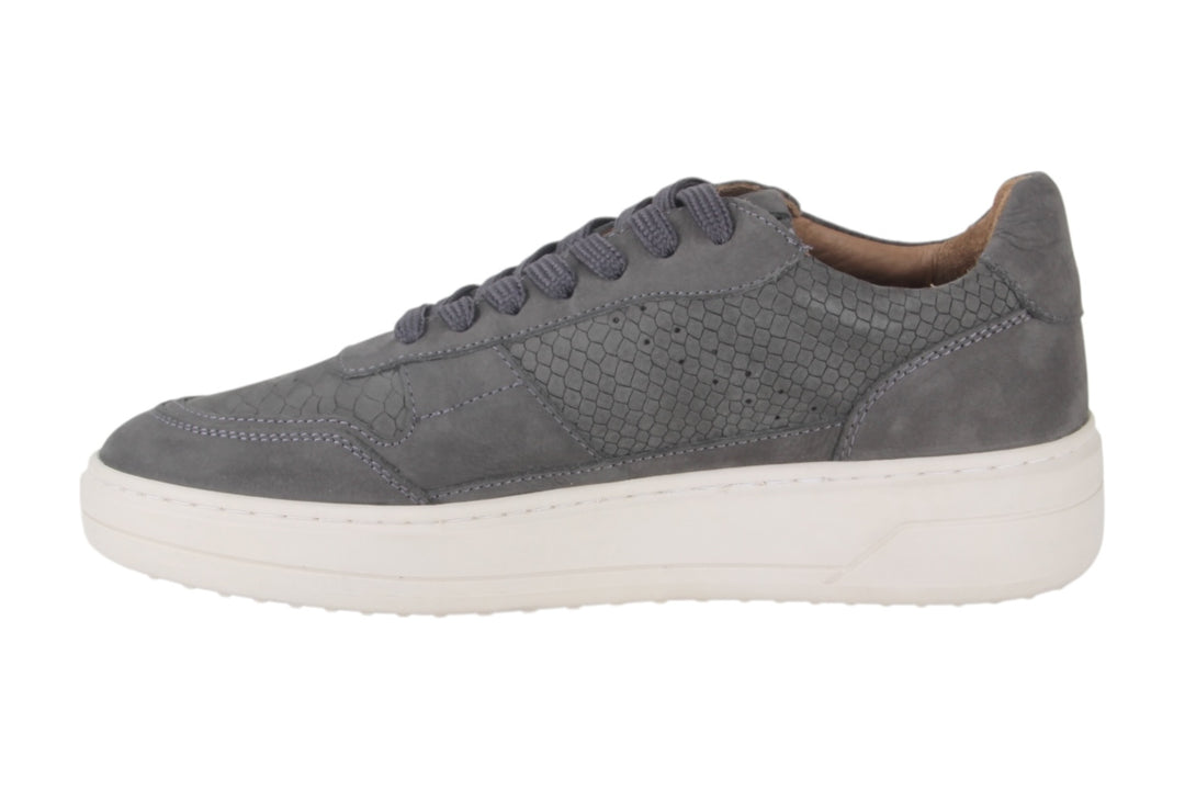 Sneakers Grijs - Amadeo Grigio - 1360012-232