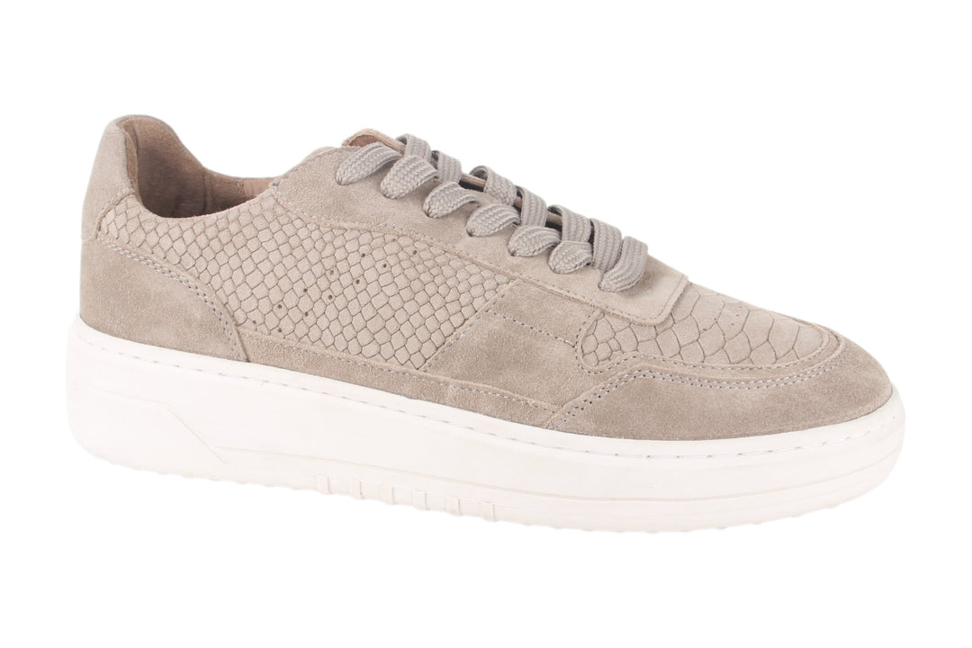 Sneakers Donkerbeige - Amadeo Sabbia - 1360012-432